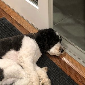 Meet your Posher, Sarahjane